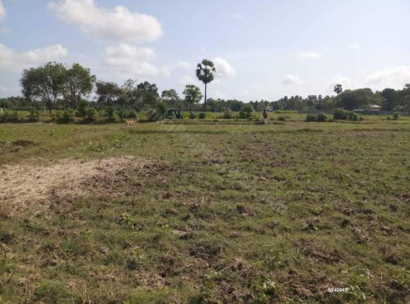 Artigala Bare Land for sale/rent
