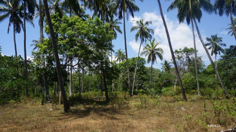 Beachfront land for sale in Rakawa