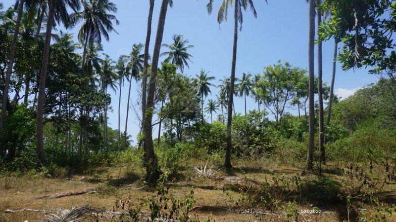 Beachfront land for sale in Rakawa