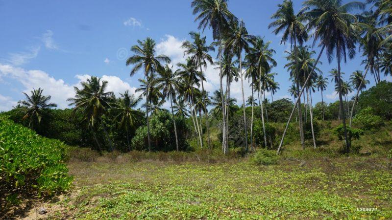 Beachfront land for sale in Rakawa