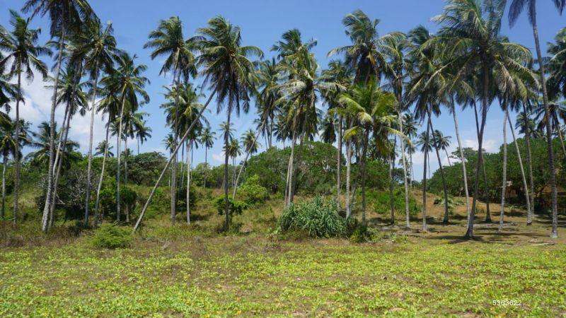 Beachfront land for sale in Rakawa