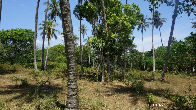 Beachfront land for sale in Rakawa