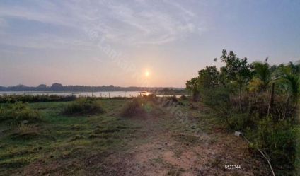 Bare Land
