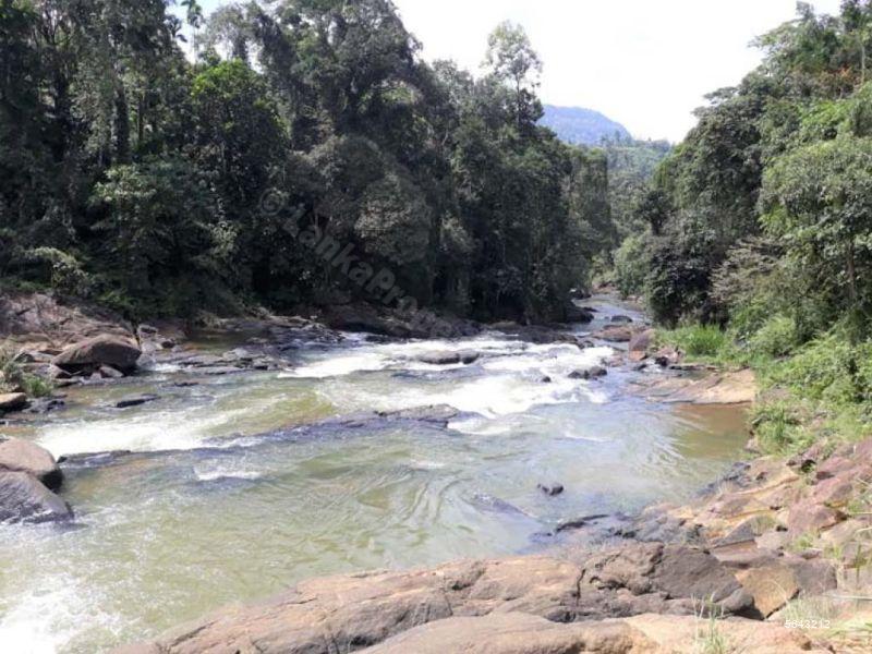 Tea land for Sale in Matara 16 Acres Prime Land called Ellahena