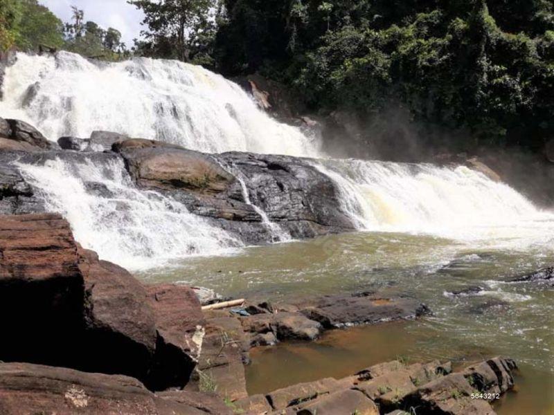 Tea land for Sale in Matara 16 Acres Prime Land called Ellahena