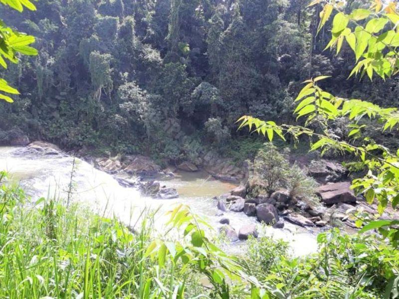 Tea land for Sale in Matara 16 Acres Prime Land called Ellahena