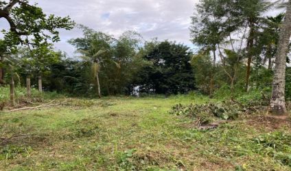 Bare Land