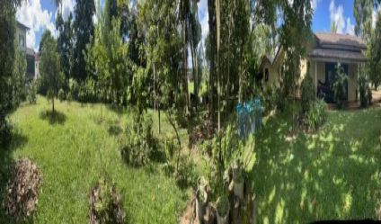 Bare Land