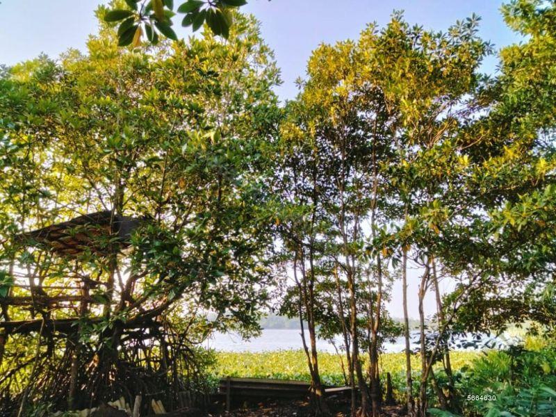 Bare Land for sale in Piliyandala