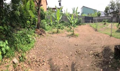 Bare Land