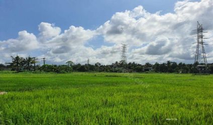 Bare Land