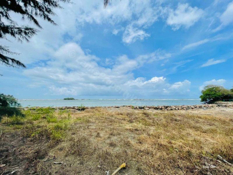 Beachfront land for sale in Matara