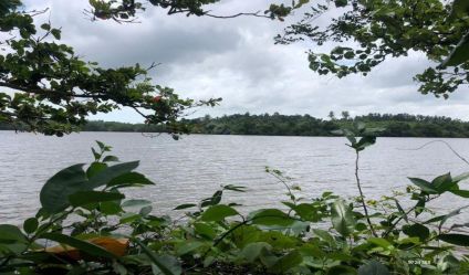 Waterfront land