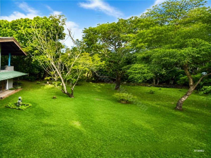 Kohuwala Bare Land for sale/rent