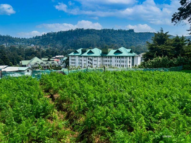 Nuwara Eliya Bare Land for sale/rent