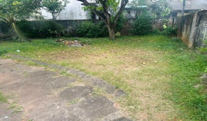 Bare Land