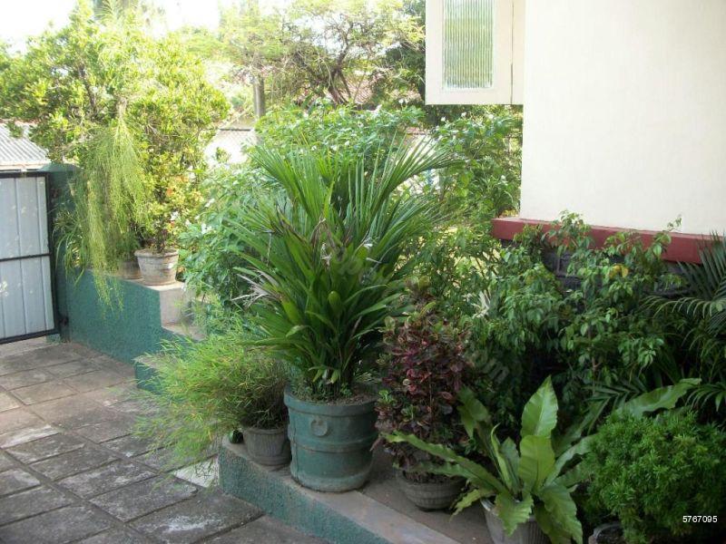 Exterior - House for sale in Maharagama