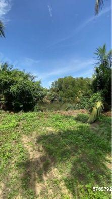 Bare Land for sale in Negombo