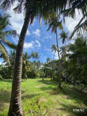 Bare Land for sale in Negombo
