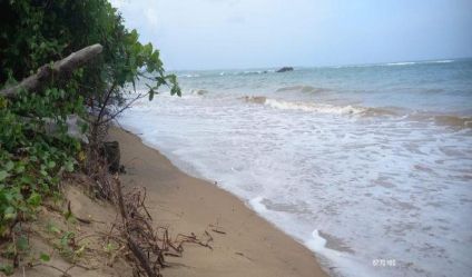 Beachfront land