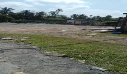 Bare Land