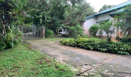 Bungalow