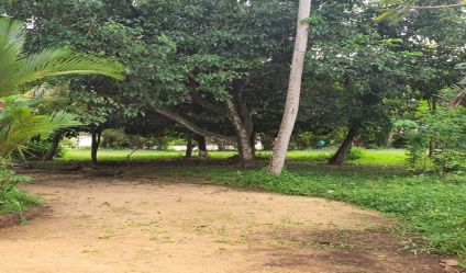 Bare Land