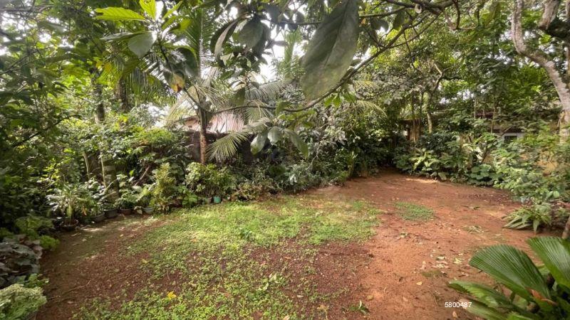 Bare Land for sale in Godagama