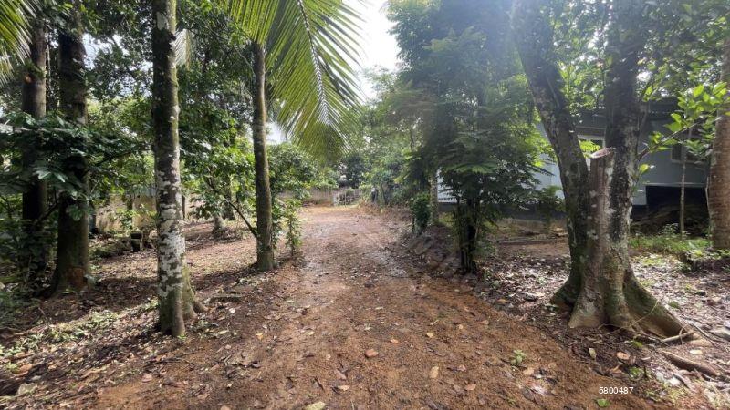 Bare Land for sale in Godagama