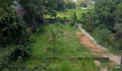 Bare Land