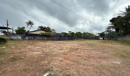 Bare Land