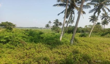 Beachfront land