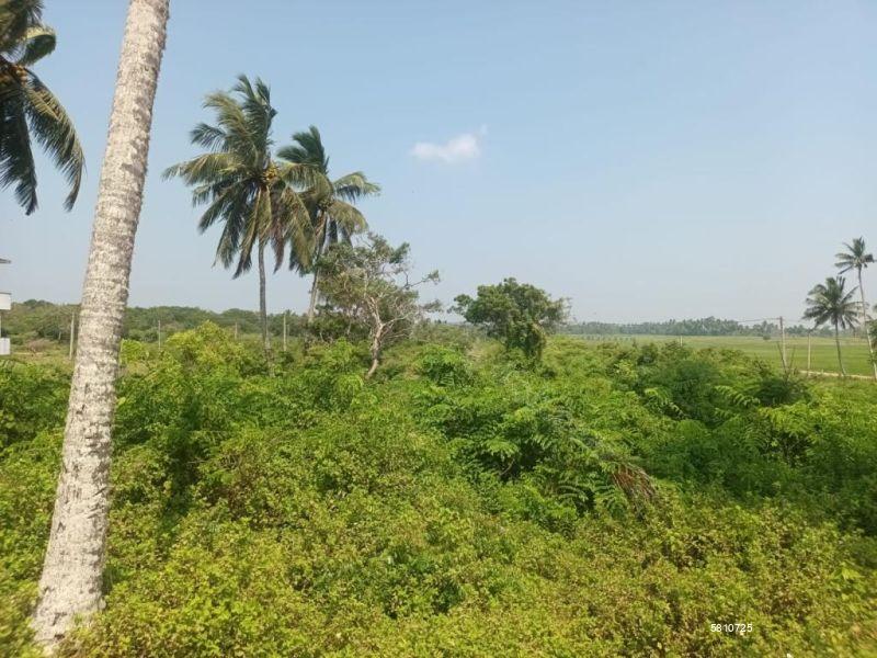 Beachfront land for sale in Kalamatiya