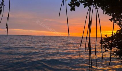 Waterfront land