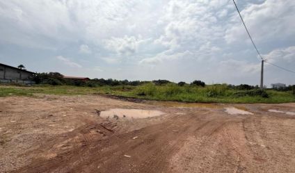 Bare Land
