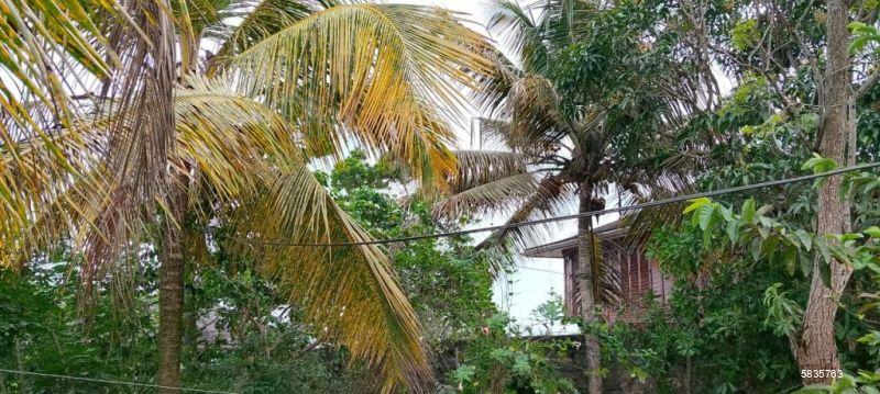 Land with house for sale in Matara