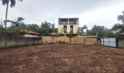 Bare Land