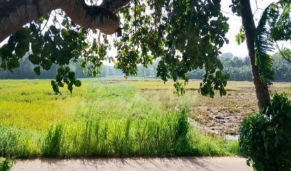 Land with house