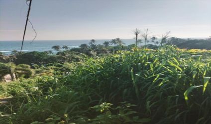 Beachfront land