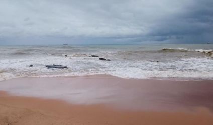 Beachfront land