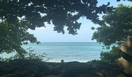 Beachfront land