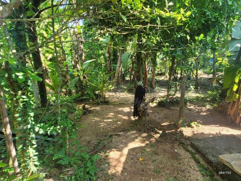 Land with house for sale in Udugampola
