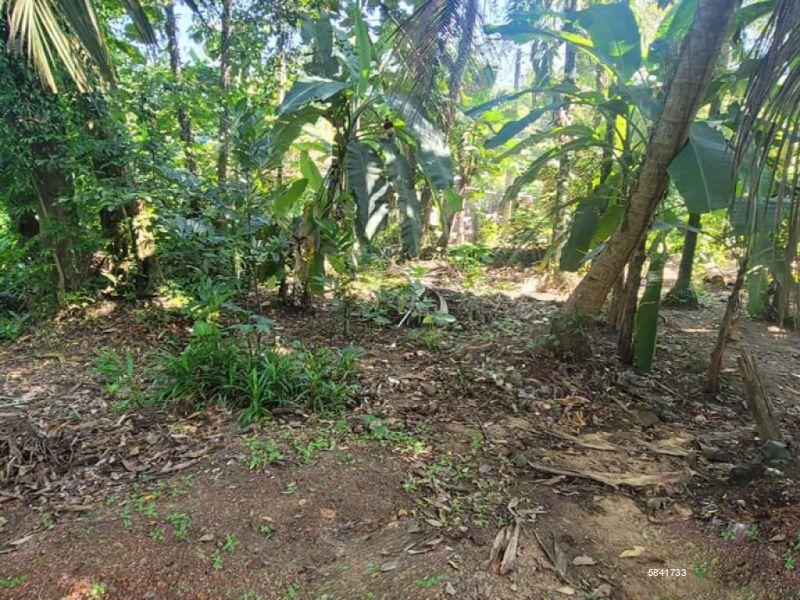 Land with house for sale in Udugampola