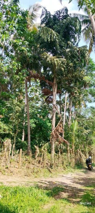 Bare Land for sale in Matara