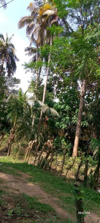 Bare Land for sale in Matara