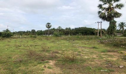 Bare Land