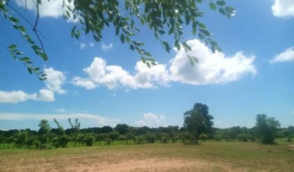 Bare Land