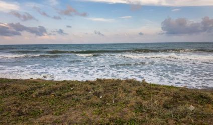 Beachfront land