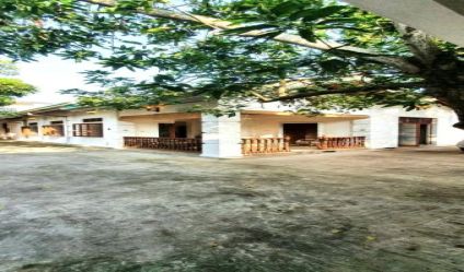 Bungalow