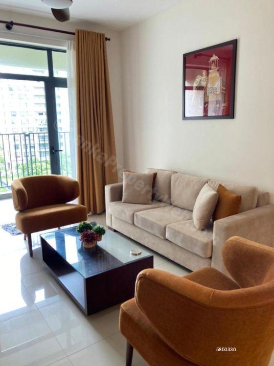 Living Room - Apartment for rent in Colombo 5